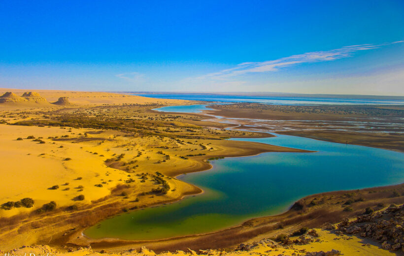 Day Tour to El Fayoum Oasis and sightseeing from Cairo