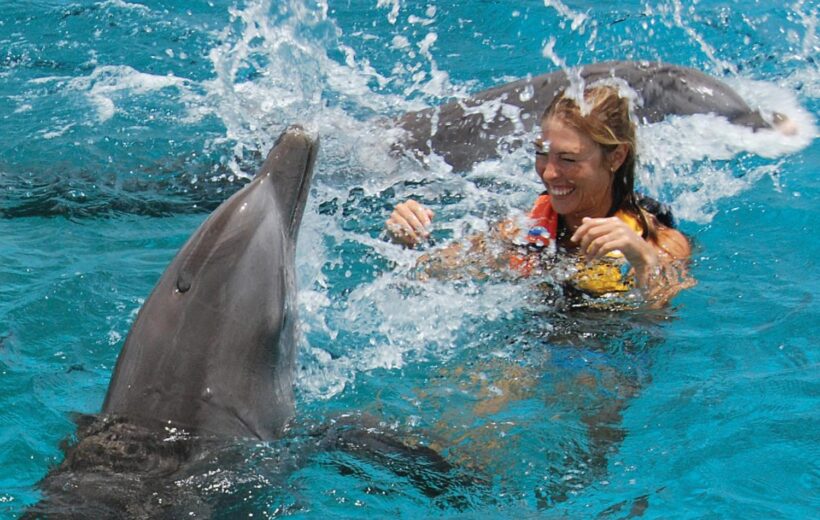 Swimming with Wild Dolphins in Hurghada (05 Min.)